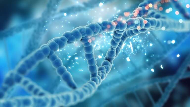 Nucleic Acid Purification