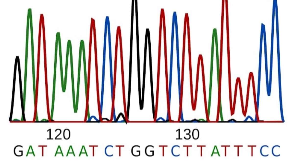 Sanger Sequencing-2